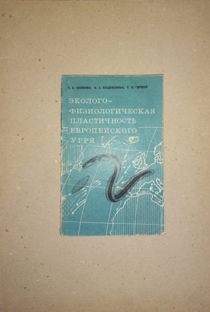 Кохненко С.В., Безденежных В.А., Горовая С.Л. Эколого-физиологическая пластичность европейского угря Anguilla Anguilla l.