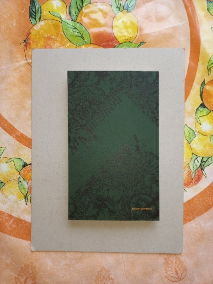 Пригов Дмитрий Александрович. Сборник предуведомлений к разнообразным вещам.