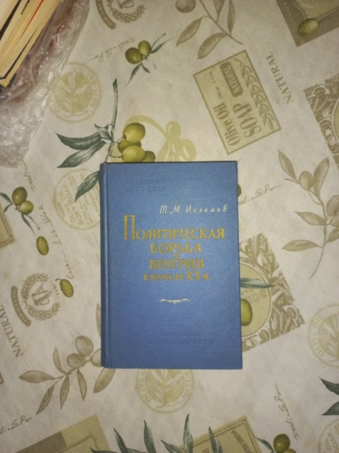 Исламов Т.М. Политическая борьба в Венгрии в начале ХХ века.