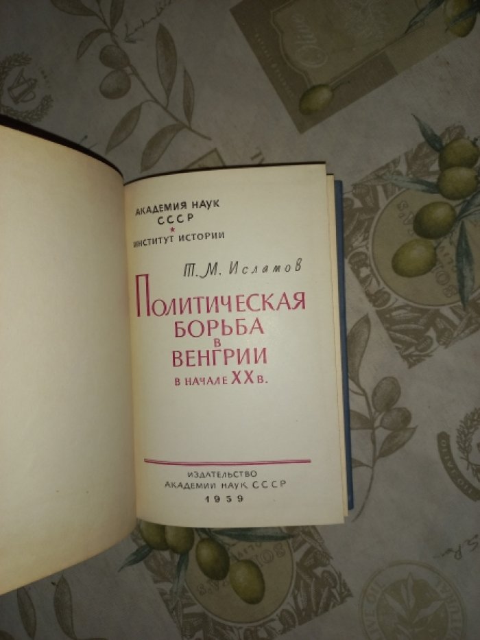 Исламов Т.М. Политическая борьба в Венгрии в начале ХХ века.