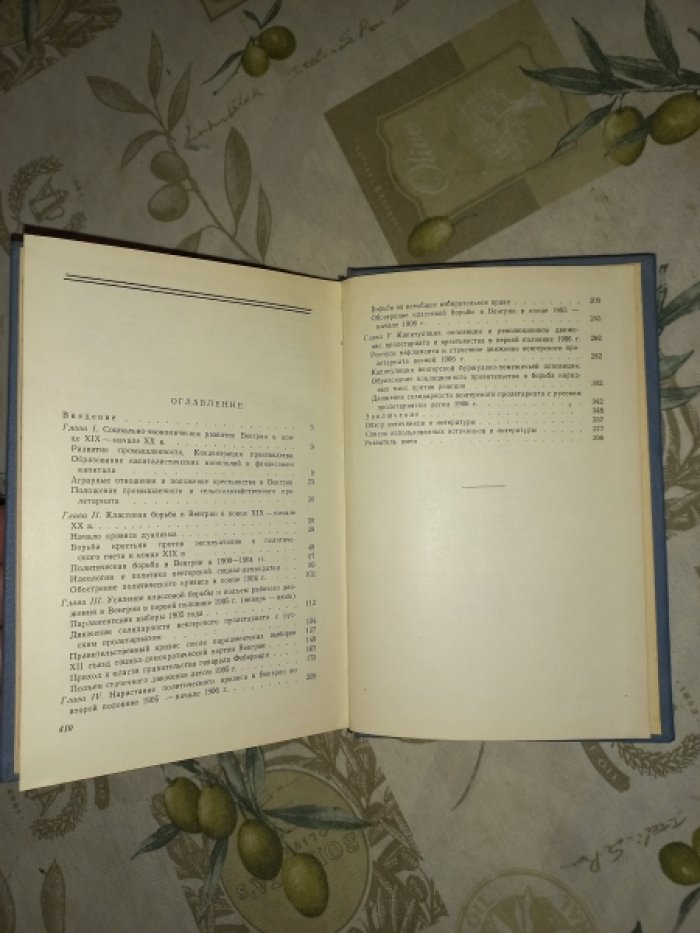 Исламов Т.М. Политическая борьба в Венгрии в начале ХХ века.