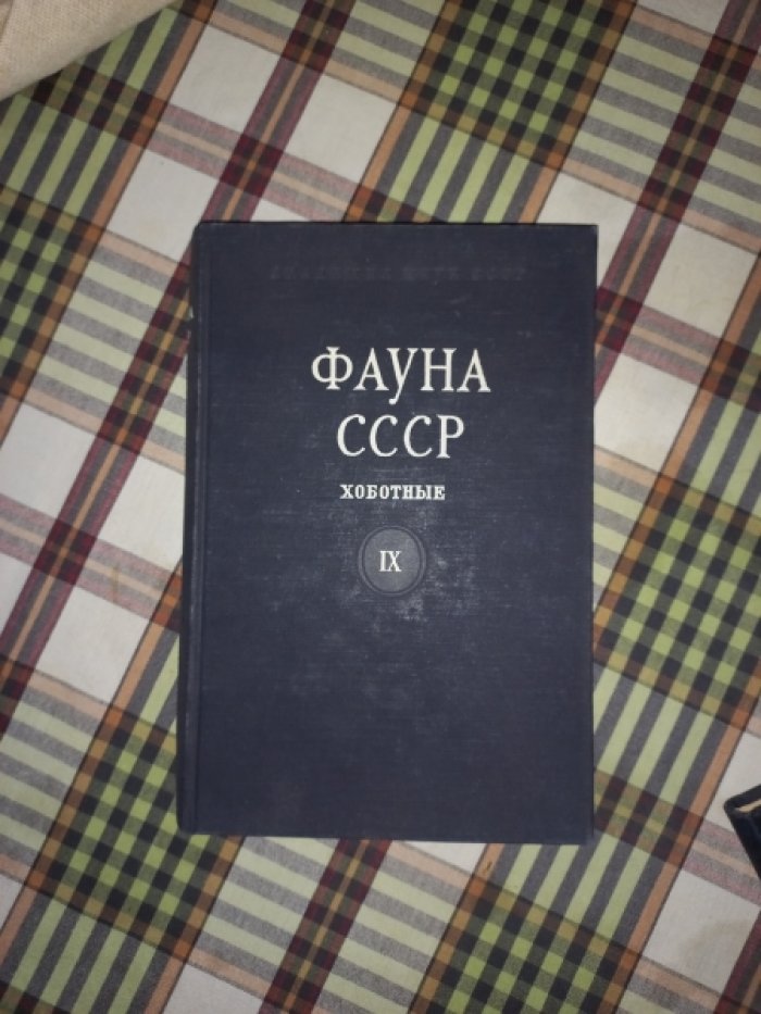 Борхсениус Н.С. Подотряд червецы и щитовки. Семейство подушечницы и ложнощитовки