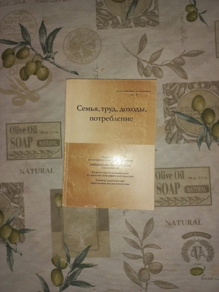 Римашевская Н.М., Герасимова И.А., Копнина В.Г. и др. Семья, труд, доходы, потребление (Таганрогские исследования)