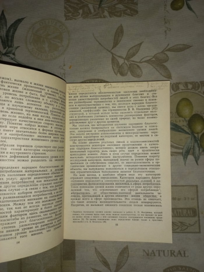 Римашевская Н.М., Герасимова И.А., Копнина В.Г. и др. Семья, труд, доходы, потребление (Таганрогские исследования)
