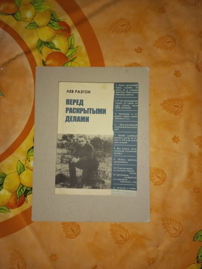 Разгон Лев. Перед раскрытыми делами.
