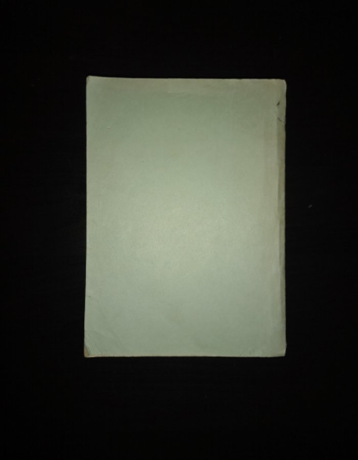 Коммунистический интернационал (Краткий исторический очерк).