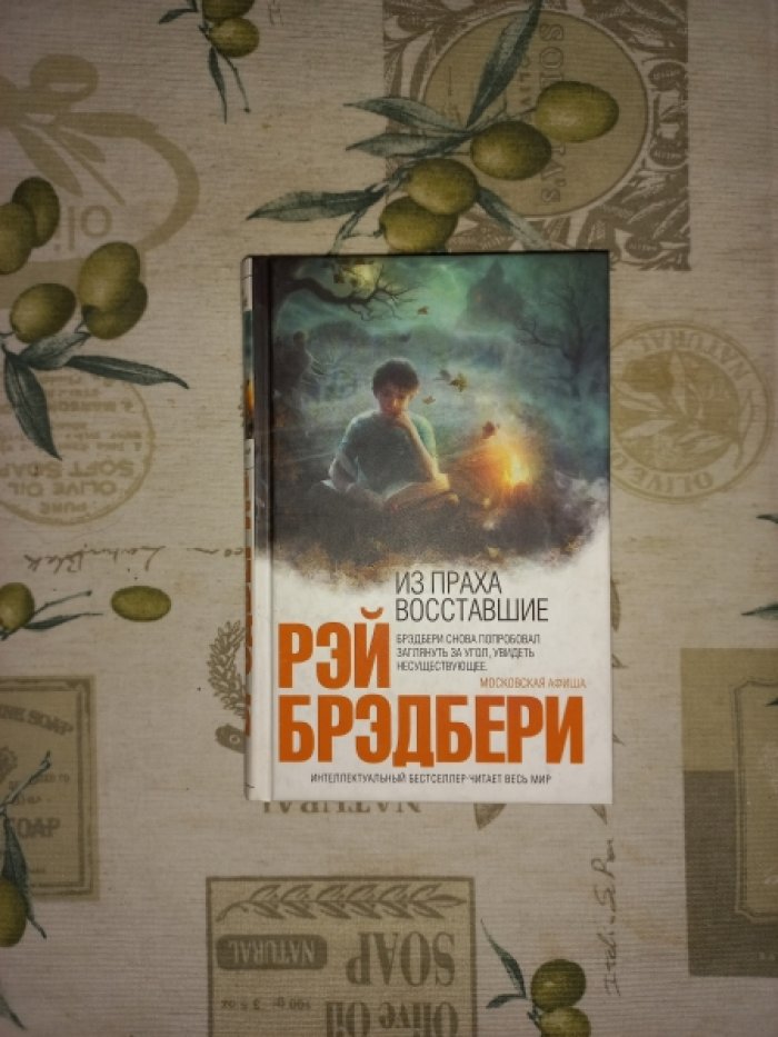Брэдбери Рэй. Из праха восставшие. Семейные воспоминания. Роман