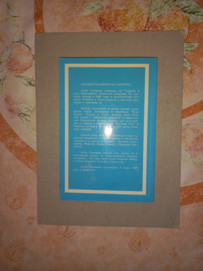 Головина Алла. Ночные птицы.