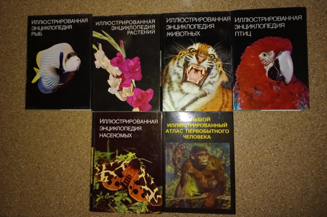 Серия книг Иллюстрированные энциклопедии. 6 книг