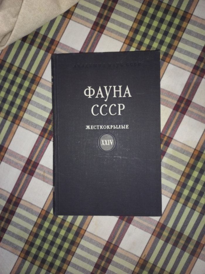 Лукьянович Ф.К., Тер-Минасян М.Е. Жуки-зерновки (Bruchidae).