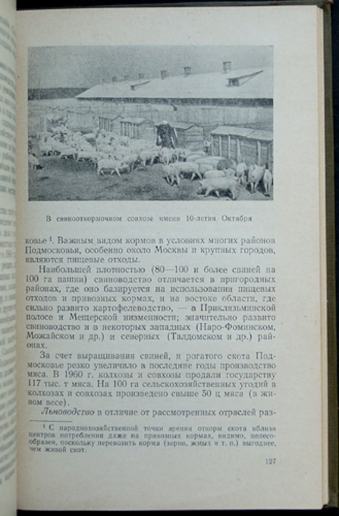 Минц А.А. Подмосковье.