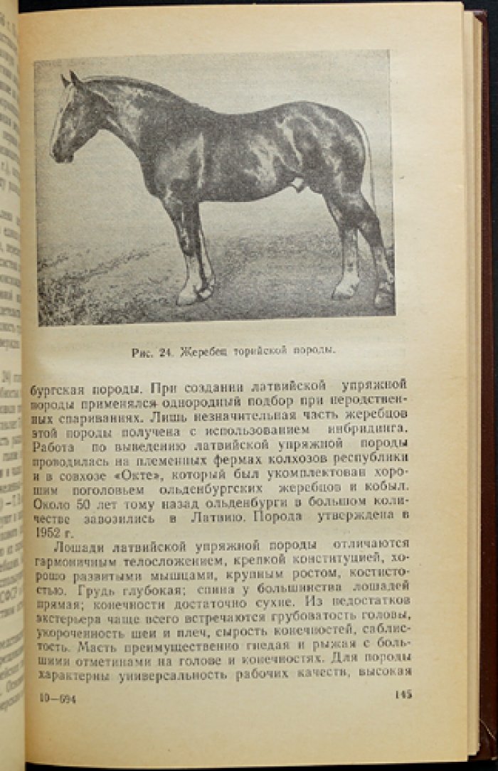 Свечин К.Б., Бобылев И.Ф., Гопка Б.М. Коневодство.