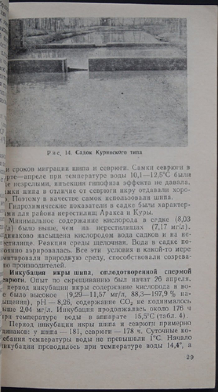Козлов В.И., Абрамович Л.С. Товарное осетроводство.