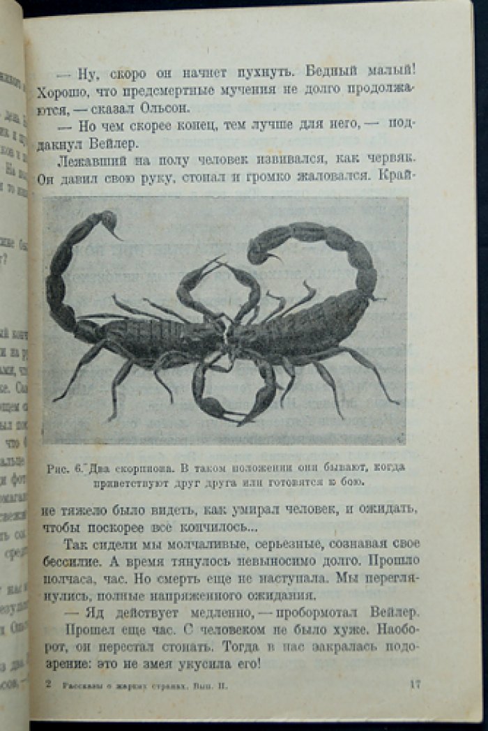 Рассказы о жарких странах. Выпуск II: Саванны, степи и пустыни