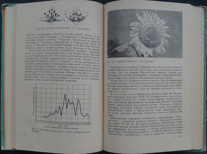 Аветисян Г. А. Пчеловодство.
