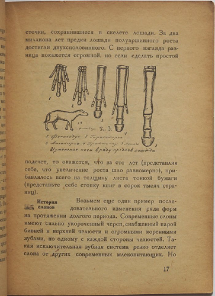 Местергази М. Превращения в мире живых существ (трансформизм).