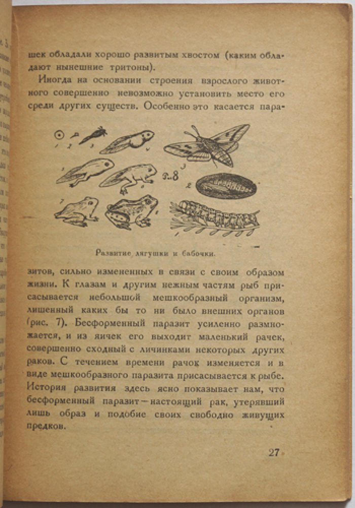 Местергази М. Превращения в мире живых существ (трансформизм).