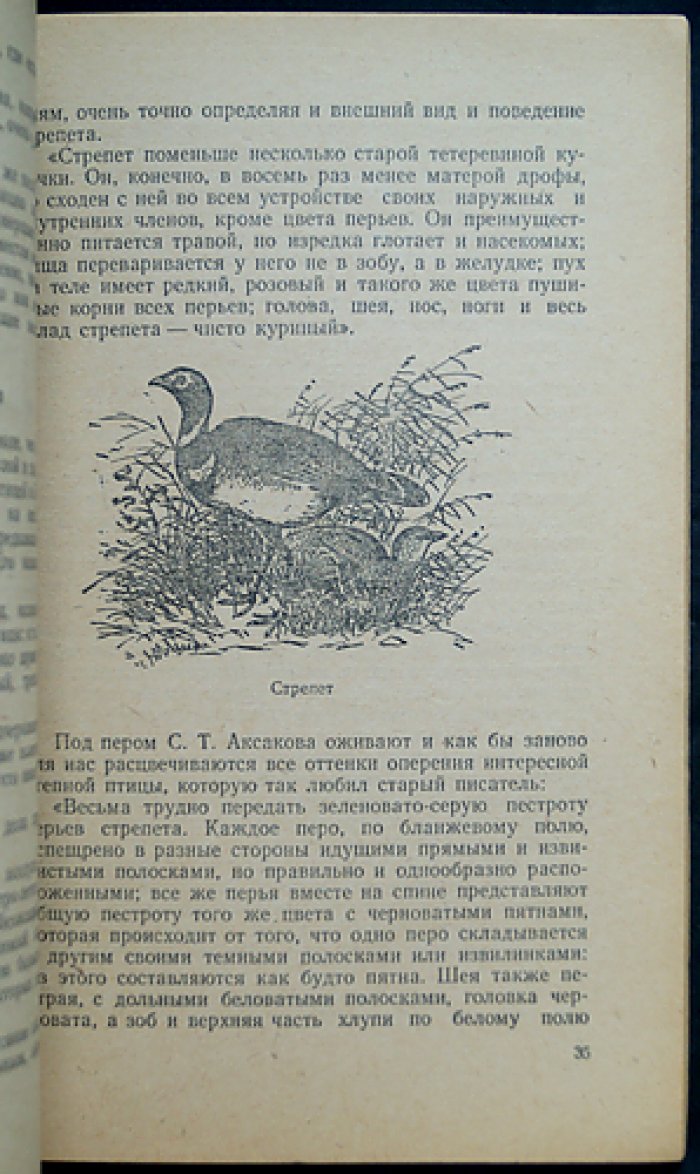 Архангельский В.В. Охота на полевую, степную, пустынную и горную дичь