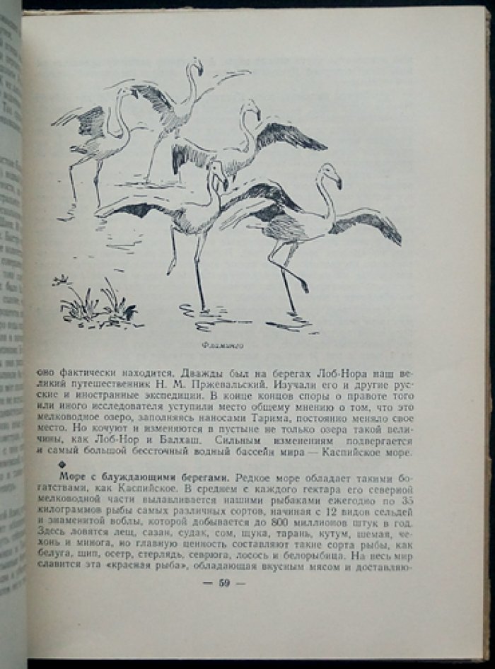 Федорович Б. Л. Лик Пустыни.