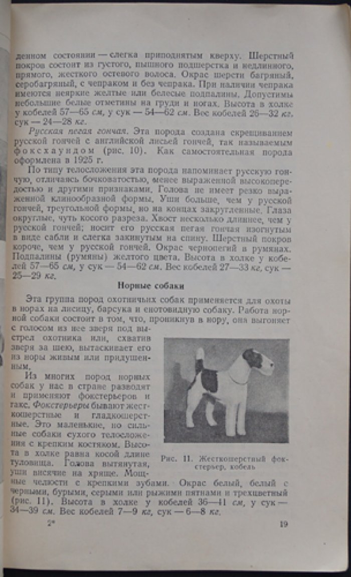 Шерешевский Э.И. Натаска, нагонка и притравка промысловых собак