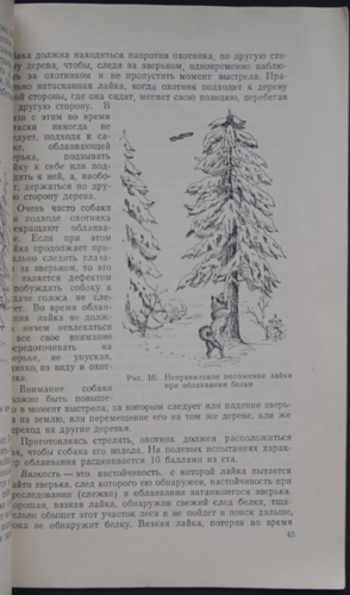 Шерешевский Э.И. Натаска, нагонка и притравка промысловых собак