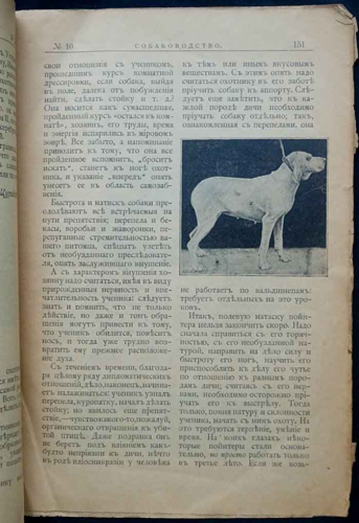 Собаководство. 1908. № 10 (октябрь)