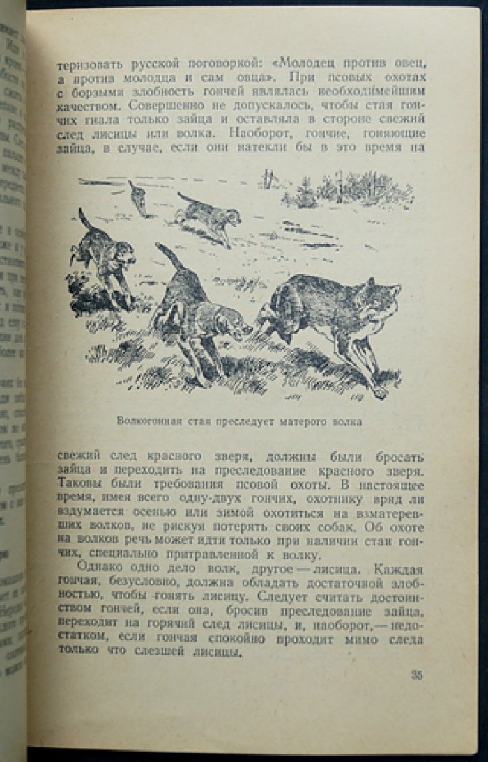 Протасов Б.Д. Охота с гончими.