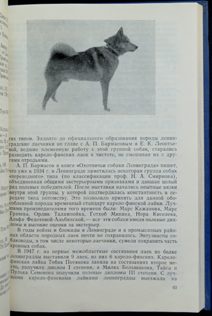 Каталог классных собак Ленинградской области и собак, записанных на 51-ю выставку