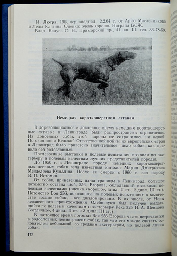 Каталог классных собак Ленинградской области и собак, записанных на 51-ю выставку
