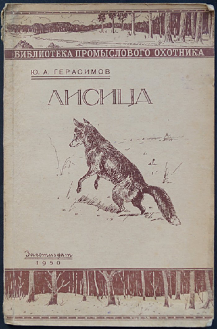 Герасимов Ю.А. Лисица.