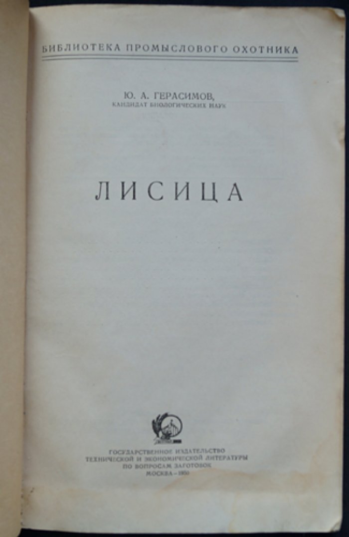 Герасимов Ю.А. Лисица.
